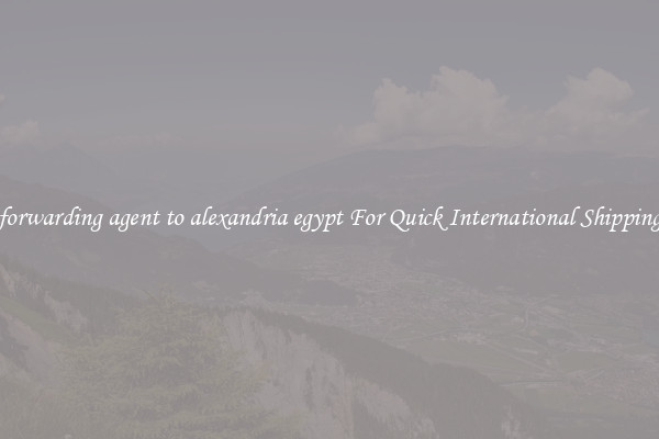 forwarding agent to alexandria egypt For Quick International Shipping