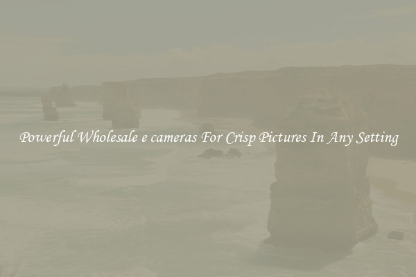 Powerful Wholesale e cameras For Crisp Pictures In Any Setting