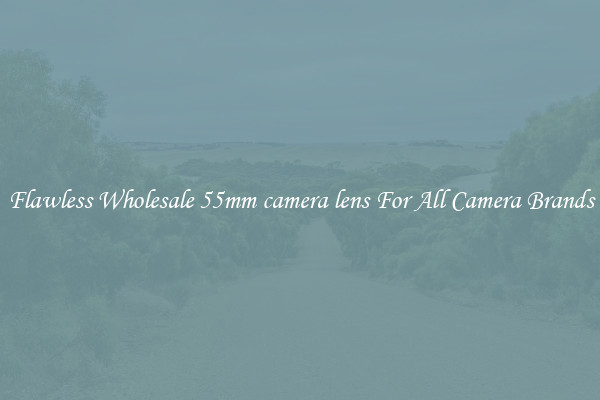Flawless Wholesale 55mm camera lens For All Camera Brands