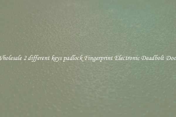 Wholesale 2 different keys padlock Fingerprint Electronic Deadbolt Door 