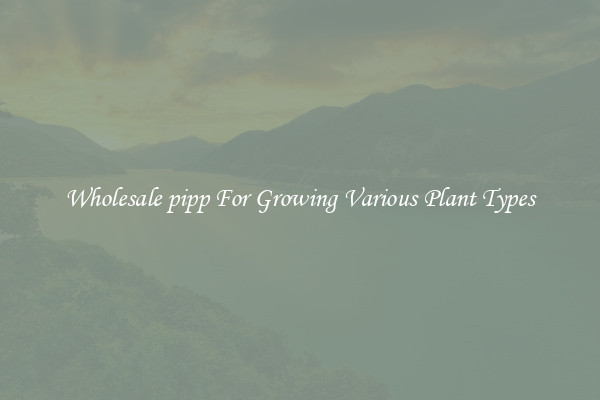 Wholesale pipp For Growing Various Plant Types
