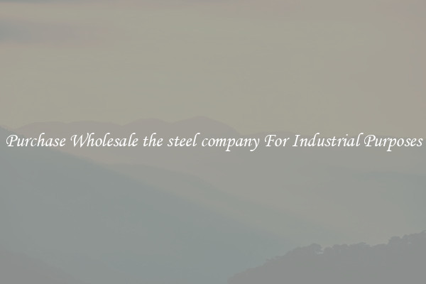 Purchase Wholesale the steel company For Industrial Purposes
