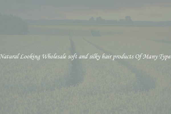 Natural Looking Wholesale soft and silky hair products Of Many Types