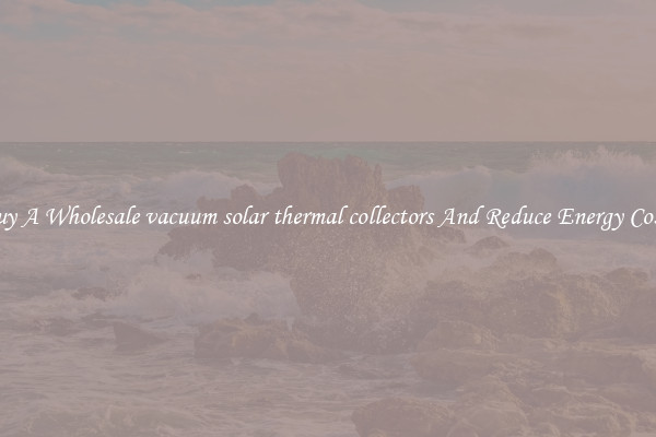 Buy A Wholesale vacuum solar thermal collectors And Reduce Energy Costs