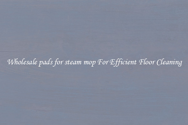 Wholesale pads for steam mop For Efficient Floor Cleaning
