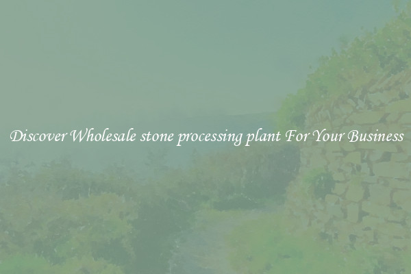 Discover Wholesale stone processing plant For Your Business