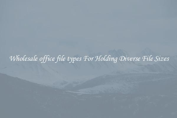 Wholesale office file types For Holding Diverse File Sizes