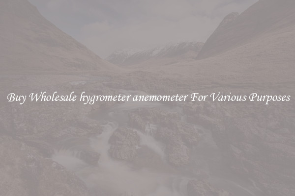 Buy Wholesale hygrometer anemometer For Various Purposes