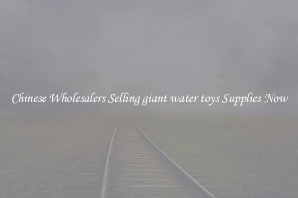 Chinese Wholesalers Selling giant water toys Supplies Now