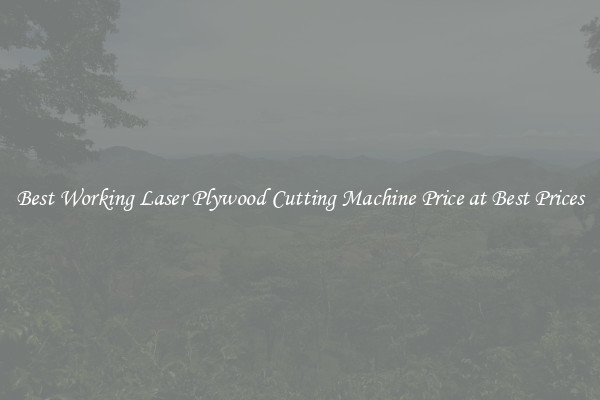 Best Working Laser Plywood Cutting Machine Price at Best Prices