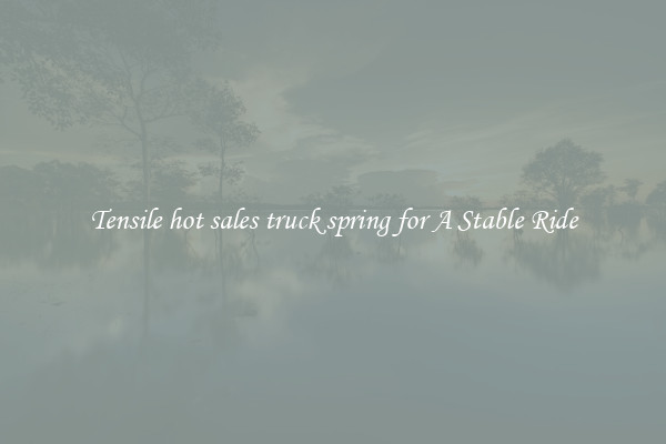 Tensile hot sales truck spring for A Stable Ride