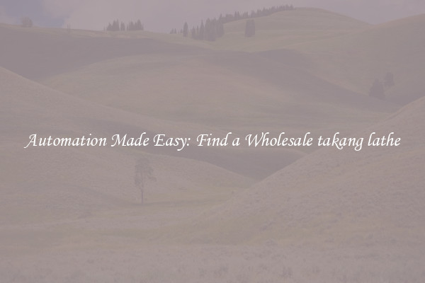  Automation Made Easy: Find a Wholesale takang lathe 