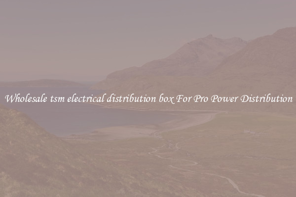 Wholesale tsm electrical distribution box For Pro Power Distribution