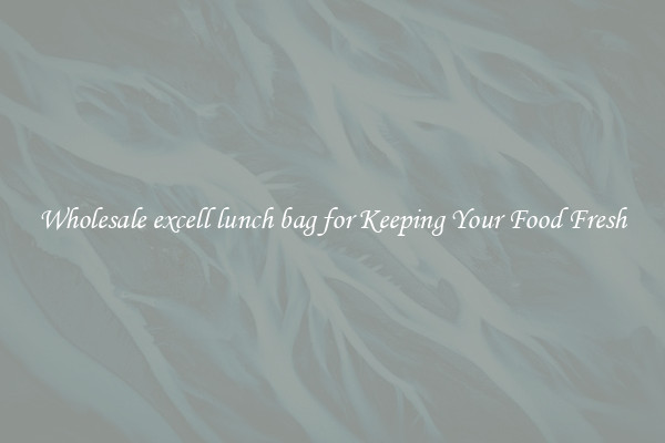Wholesale excell lunch bag for Keeping Your Food Fresh