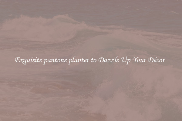 Exquisite pantone planter to Dazzle Up Your Décor  