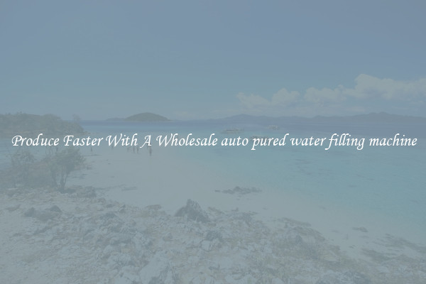 Produce Faster With A Wholesale auto pured water filling machine
