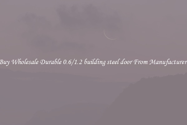 Buy Wholesale Durable 0.6/1.2 building steel door From Manufacturers