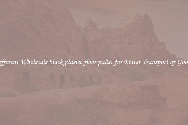 Different Wholesale black plastic floor pallet for Better Transport of Goods 