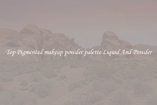 Top Pigmented makeup powder palette Liquid And Powder