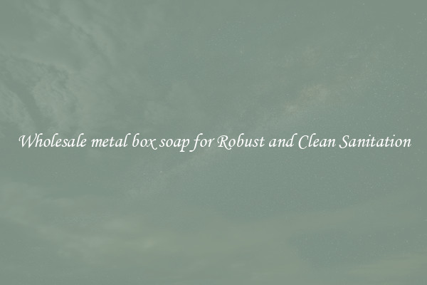 Wholesale metal box soap for Robust and Clean Sanitation
