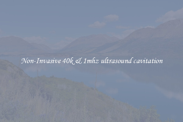 Non-Invasive 40k & 1mhz ultrasound cavitation