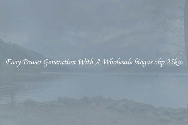 Easy Power Generation With A Wholesale biogas chp 25kw