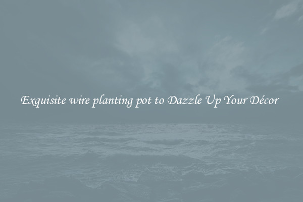 Exquisite wire planting pot to Dazzle Up Your Décor  